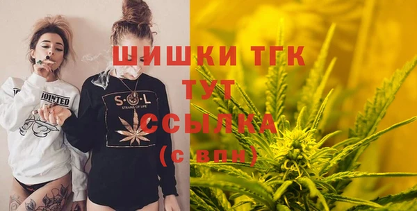 дживик Абинск